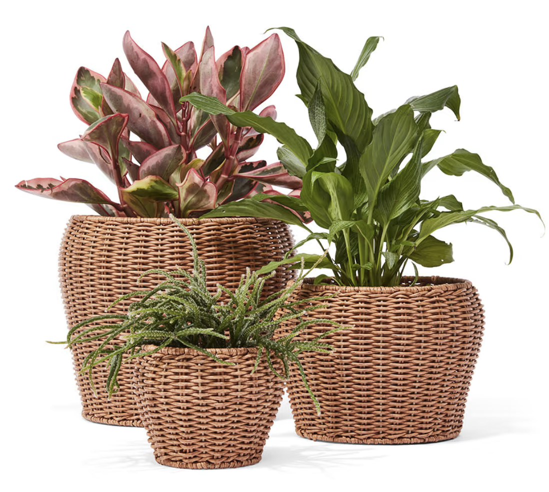 Home & Garden 3Pack Rattan Look Planters 15 Kmart Seniors